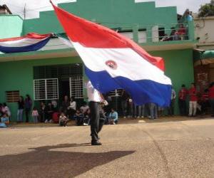 пазл Флаг Парагвая